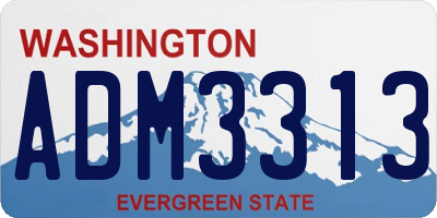 WA license plate ADM3313