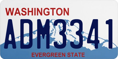 WA license plate ADM3341