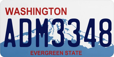 WA license plate ADM3348
