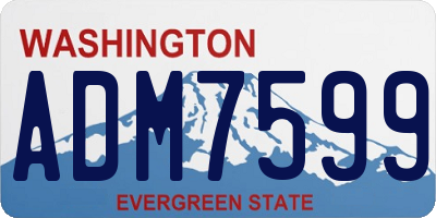 WA license plate ADM7599