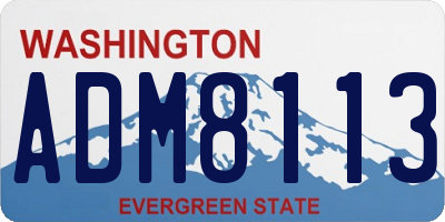 WA license plate ADM8113