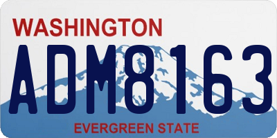 WA license plate ADM8163