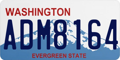 WA license plate ADM8164