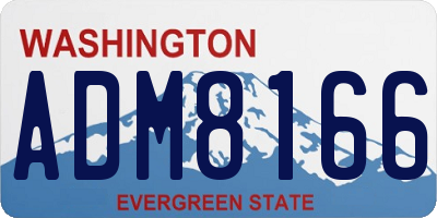 WA license plate ADM8166
