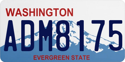 WA license plate ADM8175