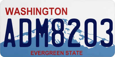 WA license plate ADM8203