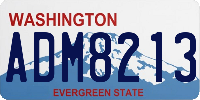 WA license plate ADM8213