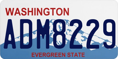 WA license plate ADM8229