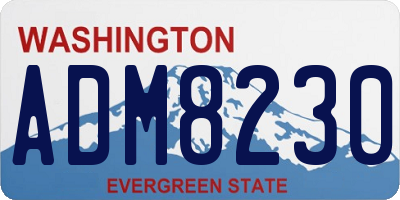 WA license plate ADM8230