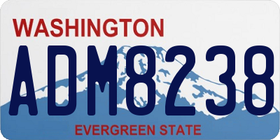 WA license plate ADM8238