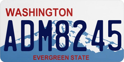 WA license plate ADM8245