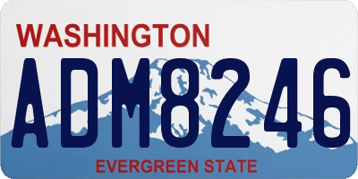 WA license plate ADM8246