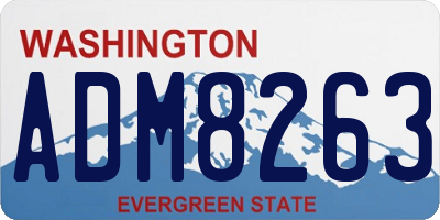 WA license plate ADM8263
