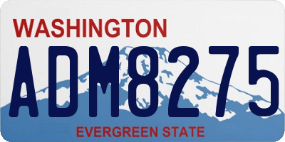 WA license plate ADM8275