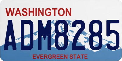 WA license plate ADM8285