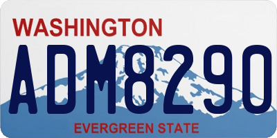WA license plate ADM8290