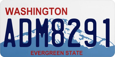 WA license plate ADM8291