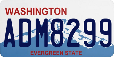 WA license plate ADM8299