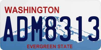 WA license plate ADM8313