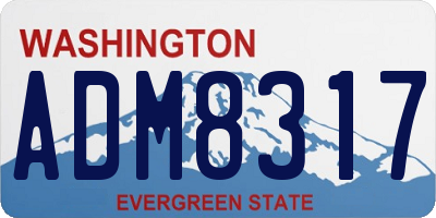 WA license plate ADM8317