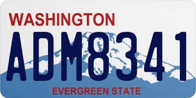 WA license plate ADM8341