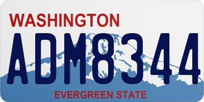 WA license plate ADM8344