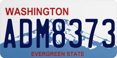 WA license plate ADM8373