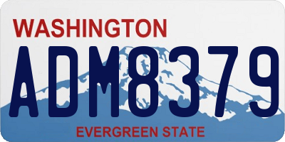WA license plate ADM8379