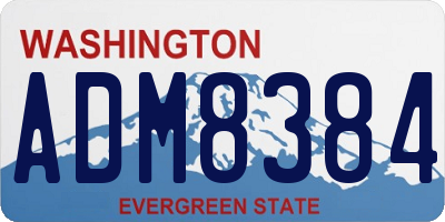 WA license plate ADM8384