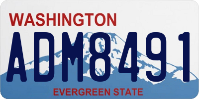 WA license plate ADM8491