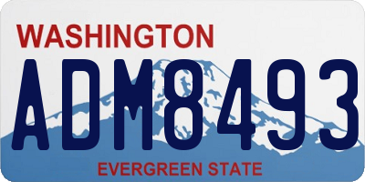 WA license plate ADM8493