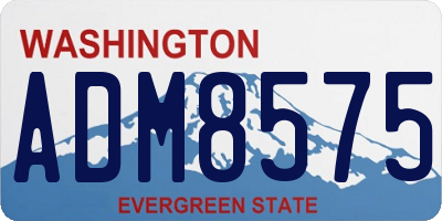 WA license plate ADM8575