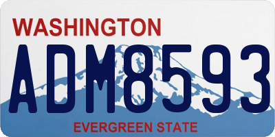 WA license plate ADM8593