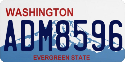WA license plate ADM8596