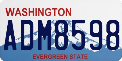 WA license plate ADM8598