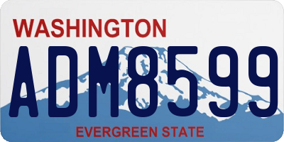 WA license plate ADM8599