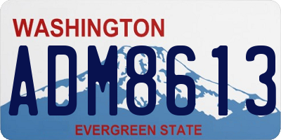 WA license plate ADM8613