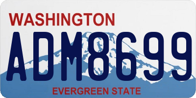 WA license plate ADM8699