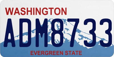 WA license plate ADM8733