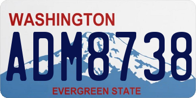 WA license plate ADM8738