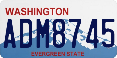 WA license plate ADM8745
