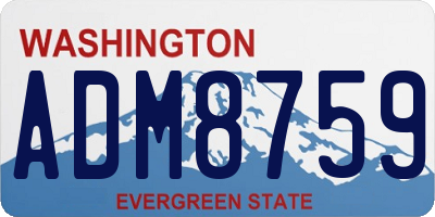 WA license plate ADM8759