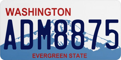 WA license plate ADM8875