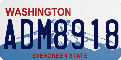 WA license plate ADM8918