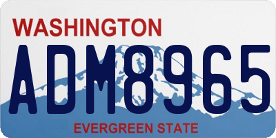 WA license plate ADM8965