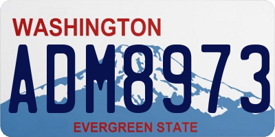 WA license plate ADM8973