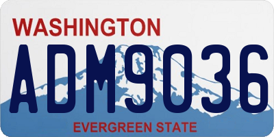 WA license plate ADM9036