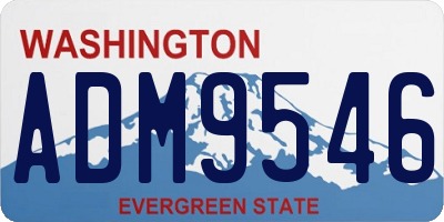WA license plate ADM9546