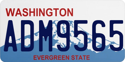 WA license plate ADM9565
