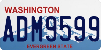 WA license plate ADM9599